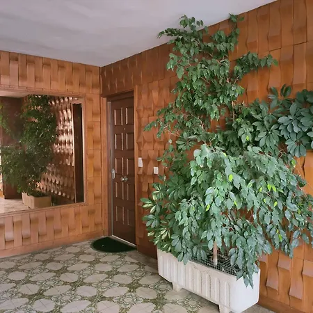 Apartamento Precioso Estudio Primera Linea Fossa-puerto *